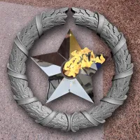 Венок вечный огонь чугун звезда нержавеющая сталь в Воронеже (518577)