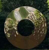 Уличный ДИЗАЙН — ЛИНЗА (519085) ∅ 1150 сталь AISI304 Воронеж 