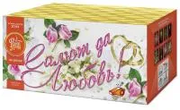 Салют Салют да любовь ЕС553 купить от производителя ФейерЛэнд — Воронеж
