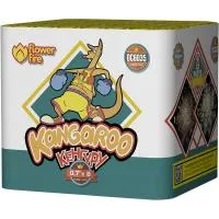 Батарея салютов Кенгуру ОС6035 купить от производителя Огненный Цветок — Воронеж