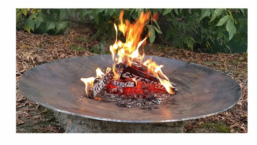 Кованная чаша для костра - авторский дизайн доставка в Воронеж